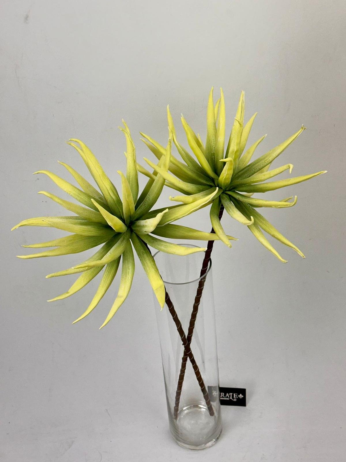 דף הבית - Berale