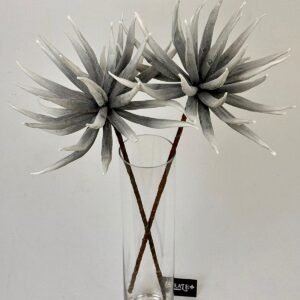 סט ענפי אגבה Stone Spire