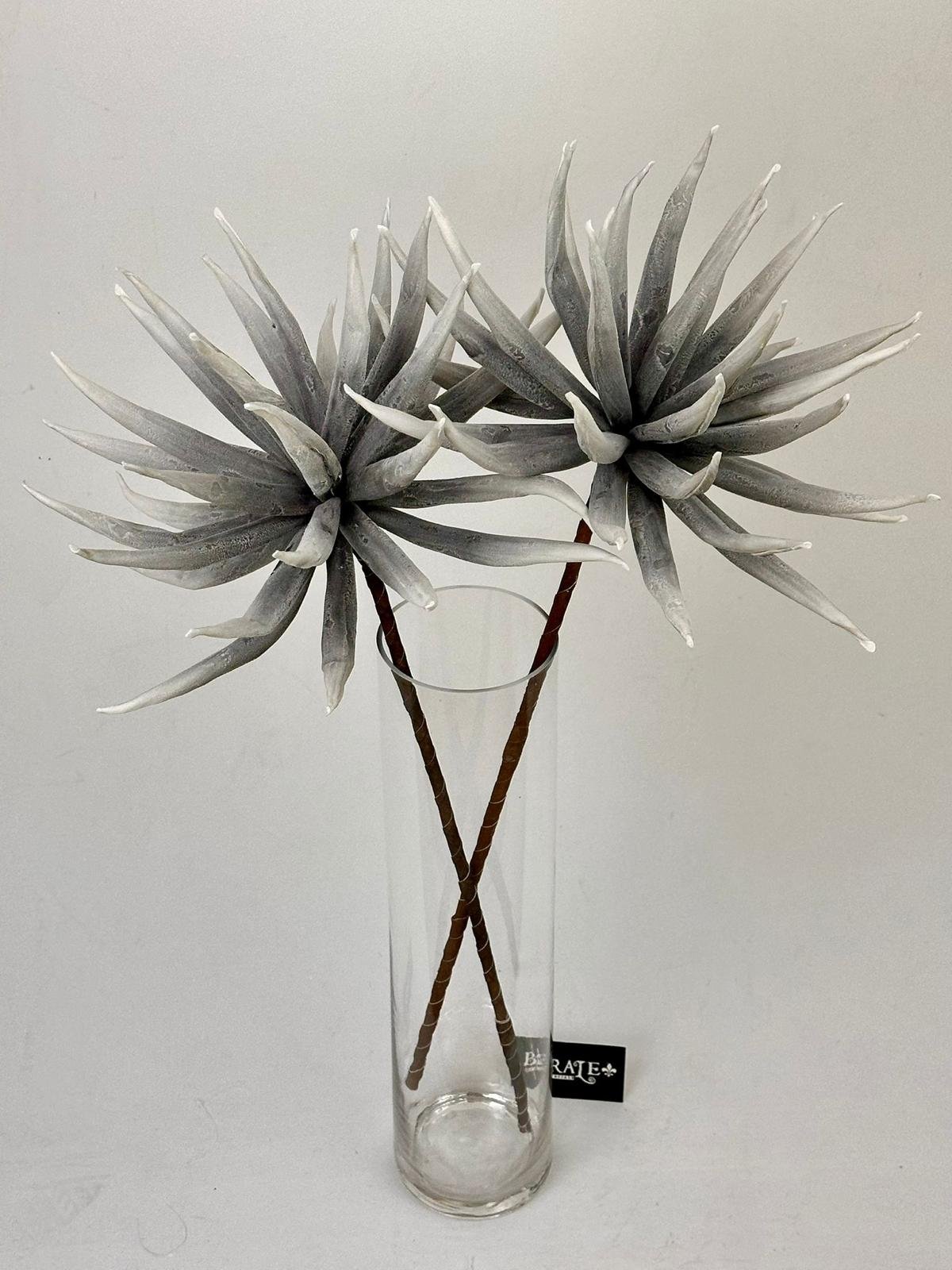 דף הבית - Berale