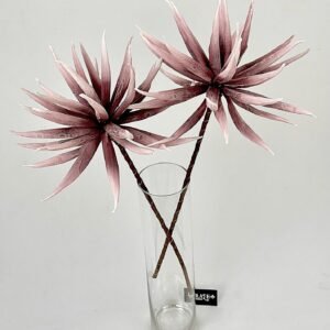 סט ענפי אגבה Dusty Spire