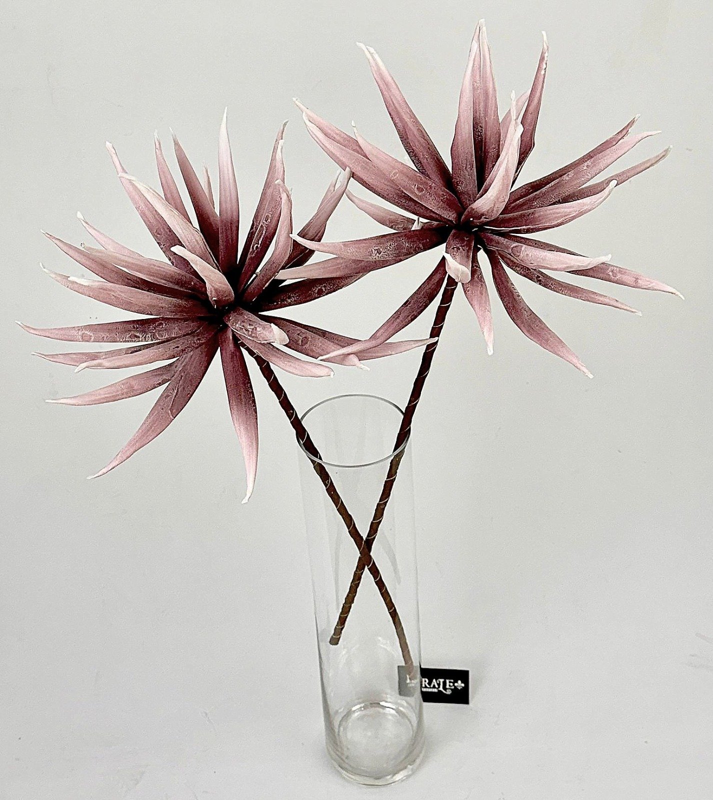 דף הבית - Berale