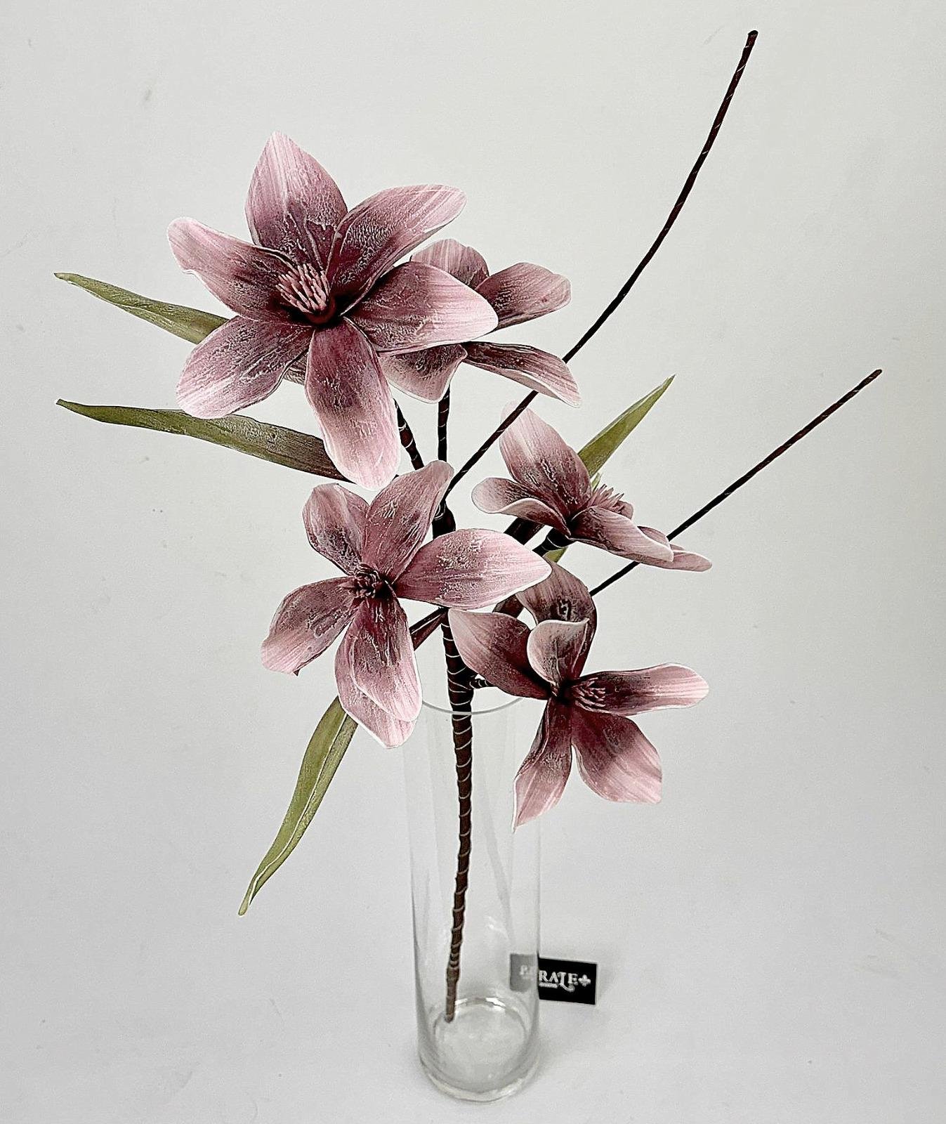 דף הבית - Berale