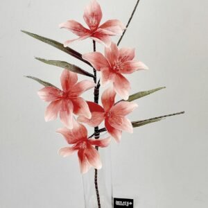 סט ענפי פלומריה Coral Bloom