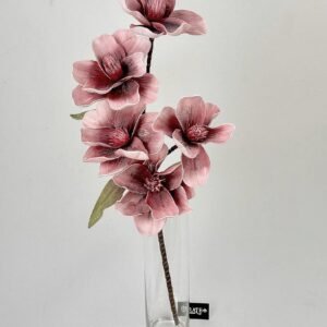 סט ענפי מגנוליה Royal Dust