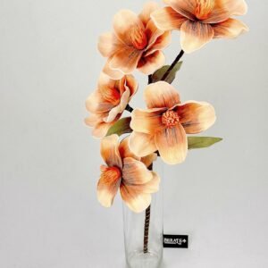 סט ענפי מגנוליה Amber Dust