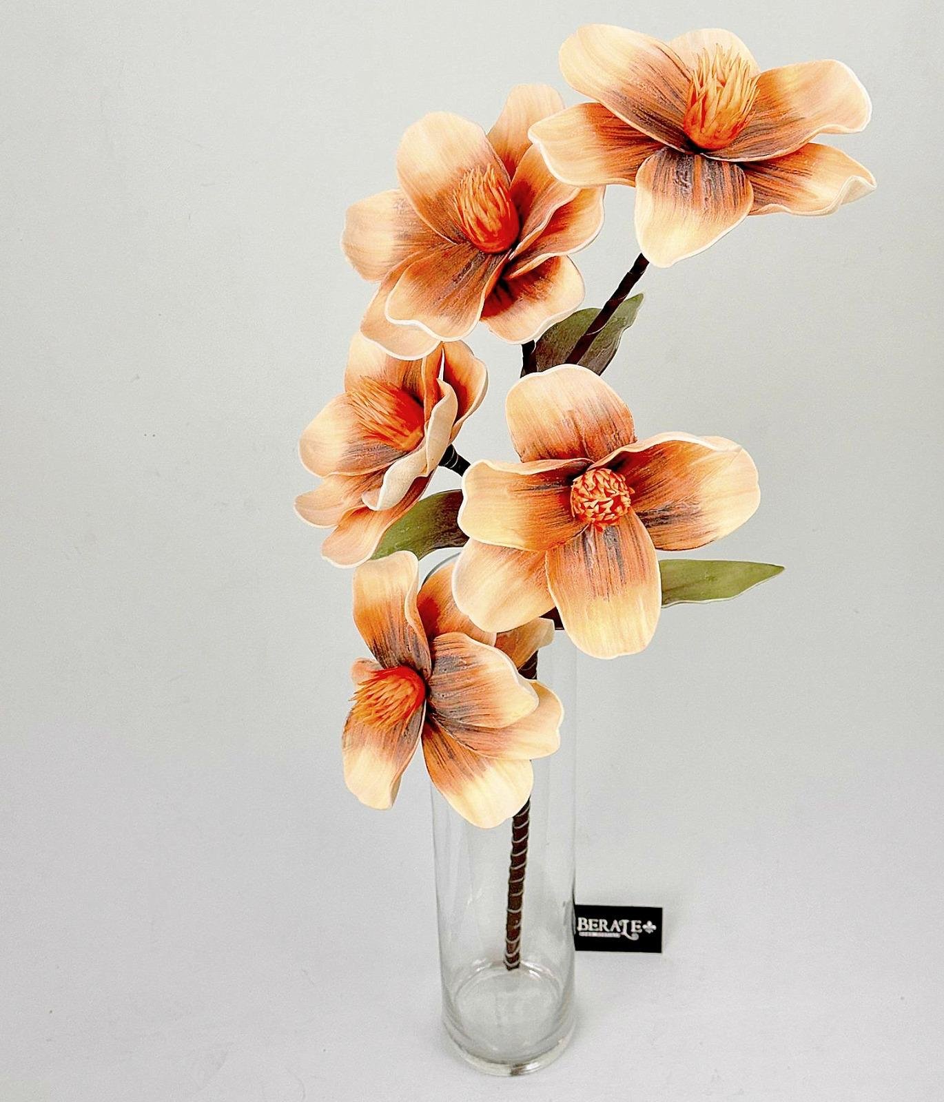 דף הבית - Berale