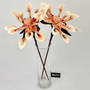 סט ענפי קלה Savannah Star