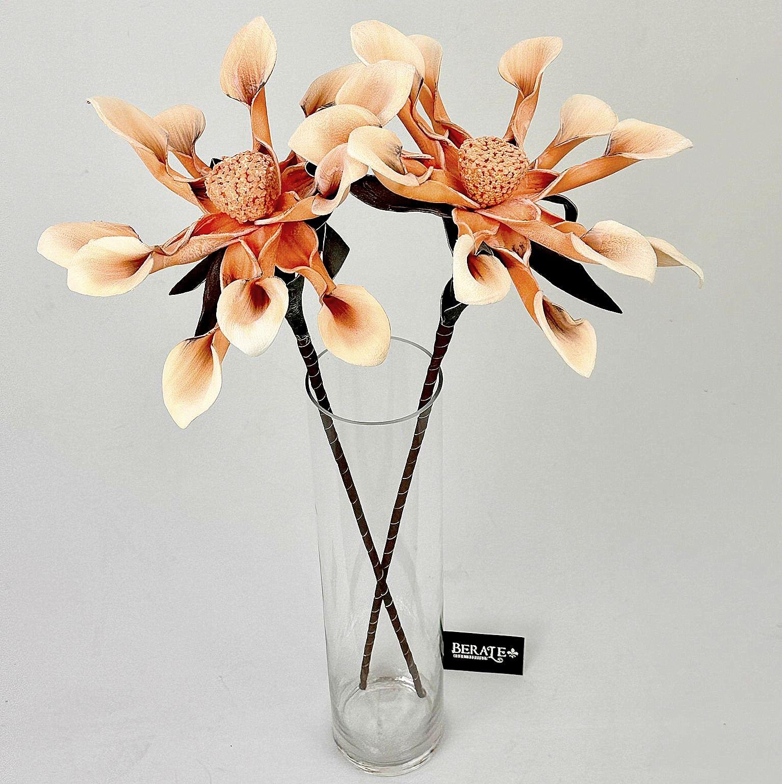 דף הבית - Berale