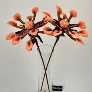 סט ענפי קלה Savannah Fire