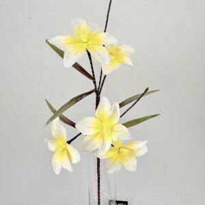 סט ענפי פלומריה Pure Sun