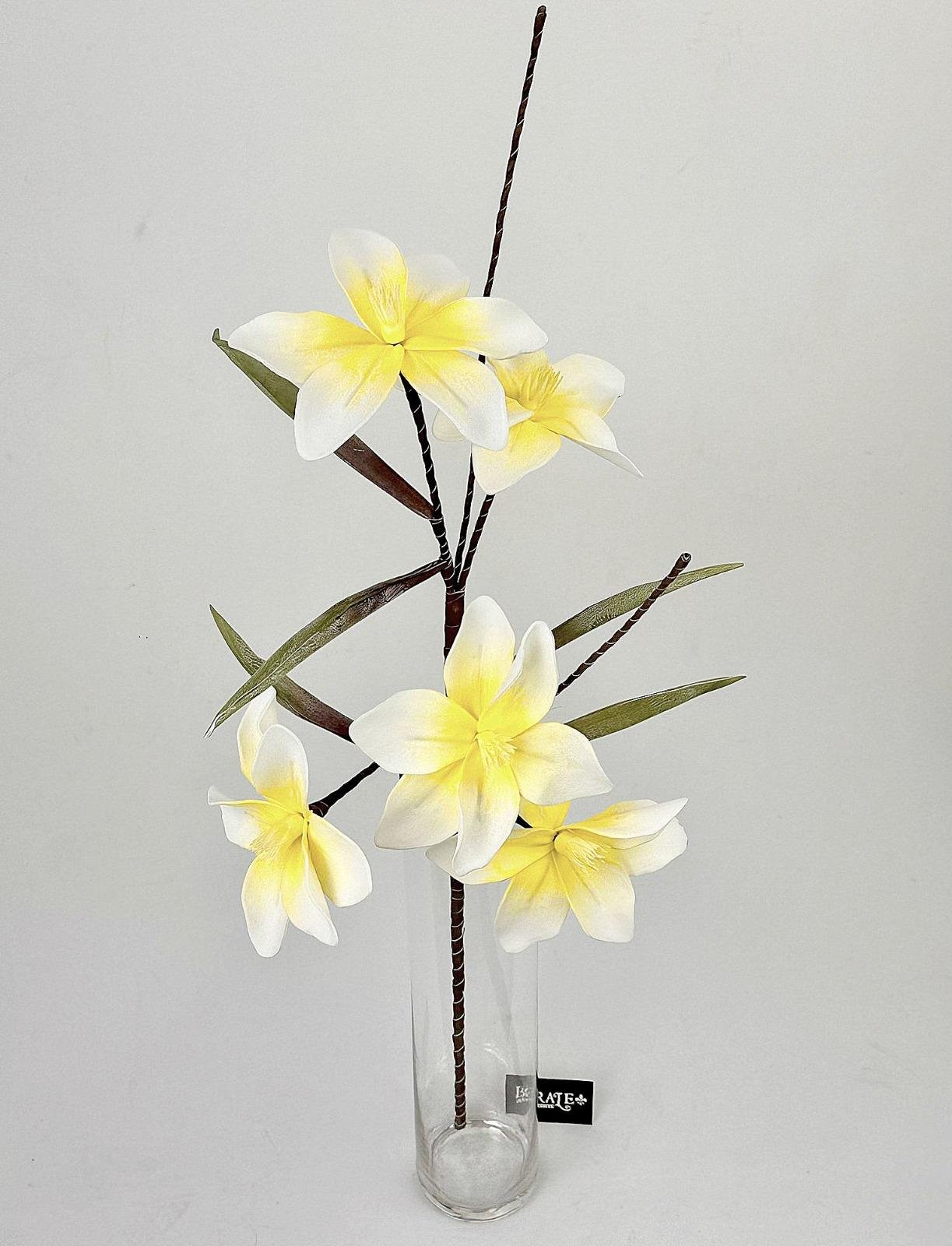 דף הבית - Berale