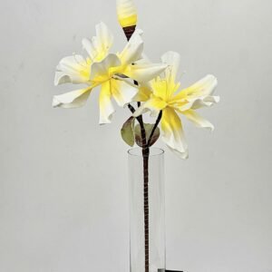 סט ענפי היביסקוס Lemon Breeze