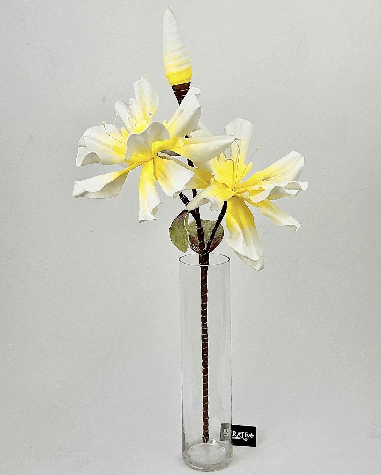 דף הבית - Berale