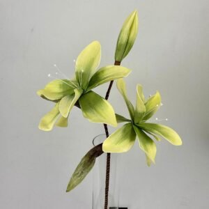 סט ענפי ליליה Lime Zen