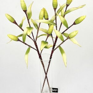 סט ענפי ניצנים Lime Harvest