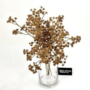 סט גיבסניות