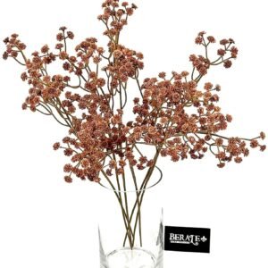 סט גיבסניות