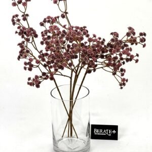 סט גיבסניות