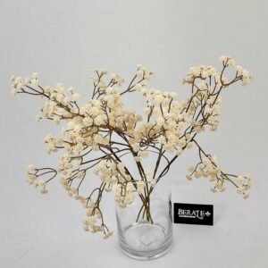 סט גיבסניות